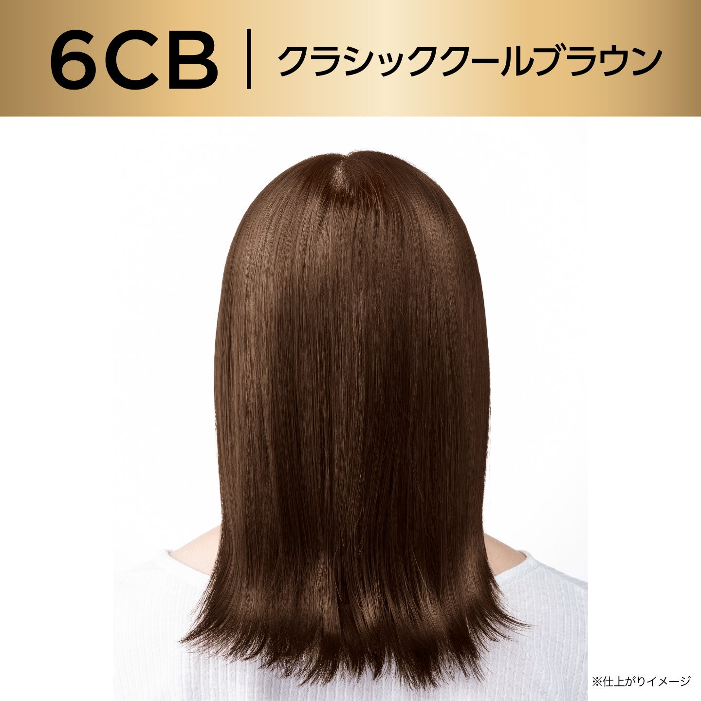 05 6941594508890 6CB V2